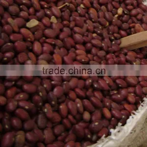 Offer Red Speckled Kidney White Beans Black Beans thumbnail-3