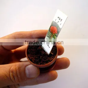 Flower Pot & Mini Seed Stick thumbnail-1