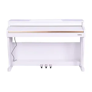 China Wholesale Keyboard Instrument Manufacturers Hammer Keyboard Digital Piano 88 Key Electric Piano thumbnail-2