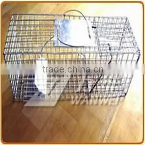 Animal Trap thumbnail-1