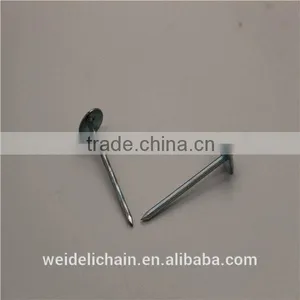 Competitive Price BWG10X2.5" Roofing Nails thumbnail-3