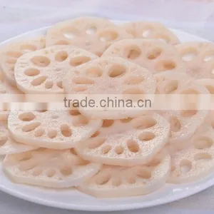Cucumber/Yam/Lotus Root/Eggplant/Winter Squash/Carrot Slice Cutter Machine thumbnail-5