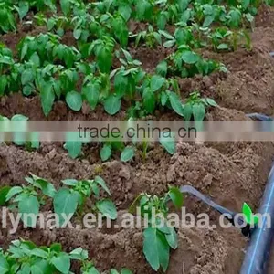 Anti-UV Plastic Flexible Garden Pipe for Water Irrigation thumbnail-1