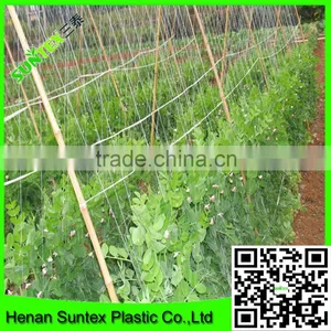 Heavy Duty Long-lasting Polyester Trellis Netting Pea & Bean Support Net thumbnail-1
