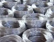 Electro Galvanized Iron Wire in Coil (real Factory) thumbnail-2