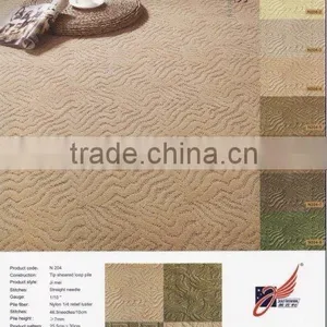 100% Invista Nylon Carpet (N204-001) thumbnail-4