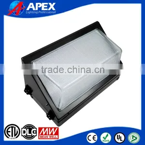 Outdoor LED Tunnel Lamp IP65 100W LED Wall Pack Light SMD3030 LED Wall Security Lighting thumbnail-1
