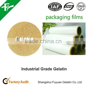 Beef Leather Gelatin/industrial Gelatin/gelatin Powder thumbnail-3