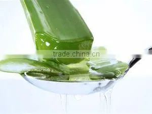 Aloe Vera Gel thumbnail-2