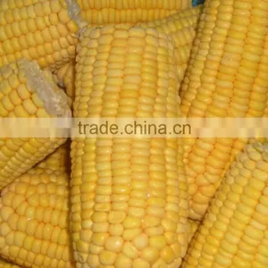 Canned Sweet Corn thumbnail-5