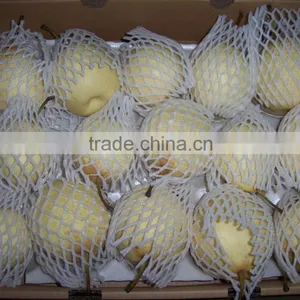 2015 Fresh ya Pear Packing in Carton With Good Quality thumbnail-4