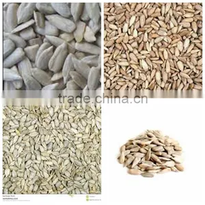 High Quality Sunflower Kernels Chinese Organic Sunflower Kernels thumbnail-2