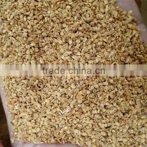 Goji Berry Seed/NQ-1/NQ-7 Goji Seeds/For Plant thumbnail-1