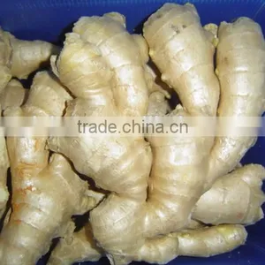 Fresh Air Dried Ginger thumbnail-1