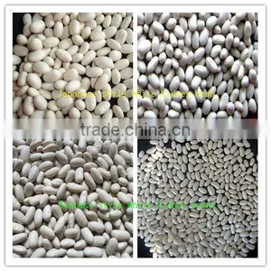 Premium Quality A Range of Kidney Beans to Russia Market thumbnail-1