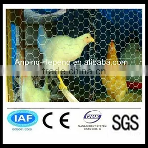 Chicken Coop Hexagonal Wire Net thumbnail-1