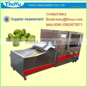 Olive Seed Extractor/Olive Seed Separator/Olive Seed Separating Machine(SMS: 0086-15903675071) thumbnail-1