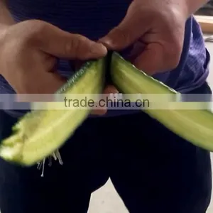 Fruit Vegetable Chinese Cabbage Half Cutting Machine Cutter thumbnail-4