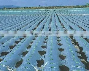 High Quality PE Agriculture Film thumbnail-1