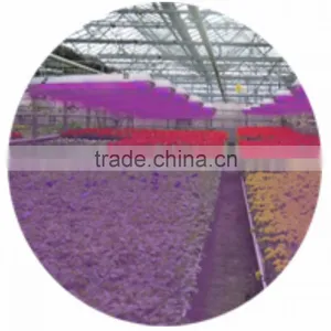 20W Waterproof LED Grow Light thumbnail-2