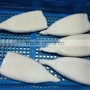 Frozen Pacific Squid Tube thumbnail-4