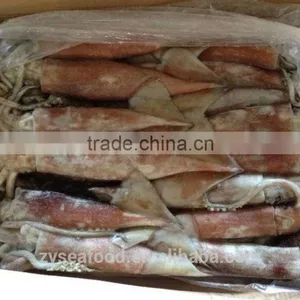 Whole Round Frozen Pacific Squid thumbnail-3