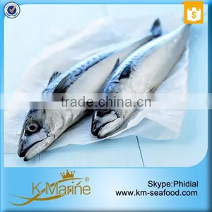Frozen Whole Round Mackerel thumbnail-2