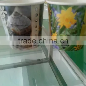 Paper Cup Planting,seedling Nursery Pot thumbnail-1
