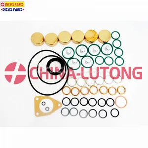Pump Repair Kits 2 417 010 010 Gasket Kit And Rebuild Kit 800019 Overhaul Kit thumbnail-1