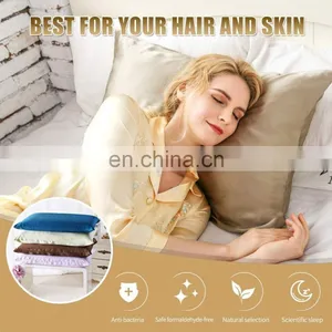 2020 Top Sell 100% 22mm Mulberry Silk Pillowcase Plain With Zipper thumbnail-3