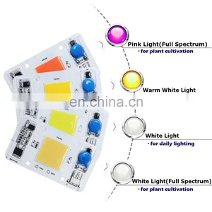 50W Driverless Cob Led Chips Applied to Spotlight Floodlight Mining Lamp Street Lamp Plant Grow Light thumbnail-5