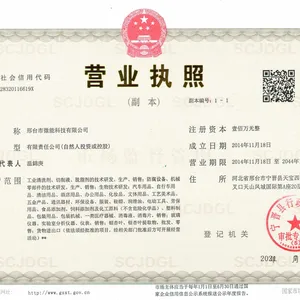 Xingtai Micro-energy Technology Co. , Ltd. company overview - view 1 thumbnail
