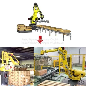 Automatic Palletizer Robot thumbnail-1