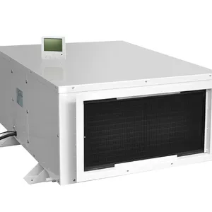 Hot Sales Energy Saving Ceiling Mounted Dehumidifier for Greenhouse and Swimming Pool thumbnail-3