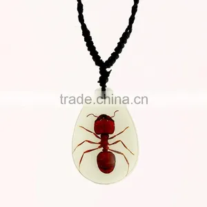 2016 Hot-selling Novel Gifts Resin Necklace With Real Insect thumbnail-5