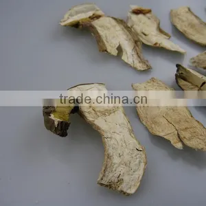 Dried Boletus Edulis Mushroom Seller thumbnail-3