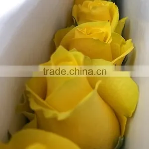 Top Quality Most Popular Gold Plated Gift Rose thumbnail-6
