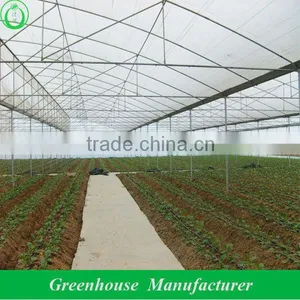 Vegetable Greenhouses for Sale thumbnail-1