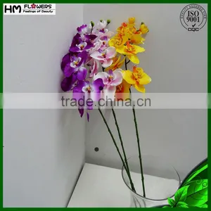 Dried Flowers Preserved Orchids Preserved Flowers thumbnail-3