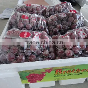 Red Global Grape/Red Grape/Bulk Grape thumbnail-1
