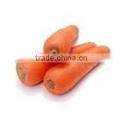 Chinese Fresh Red Carrot thumbnail-1