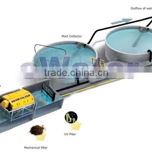 Intensive Flow Through Fish Farm /fish Grow Out System /grouper Fish Farm thumbnail-1