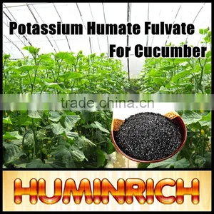 FAQ 2--Potassium Humate Fulvic Acid Fertilizer For Cucumber thumbnail-1