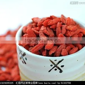 ISO 9001 Goji Berry thumbnail-5