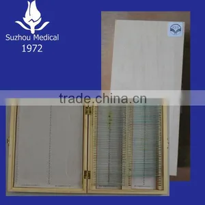 Prepared Microscope Slide Set thumbnail-1