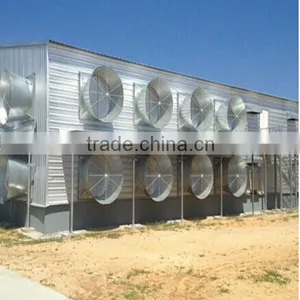 Design Chicken Double Floor Shed Poultry Farm thumbnail-1