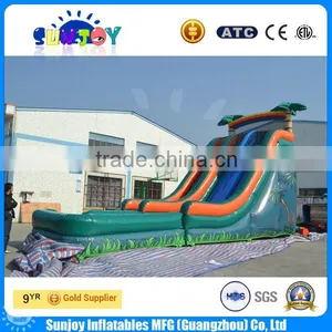 Coconut Palm Double Lane Inflatable Water Slide With Pool thumbnail-3