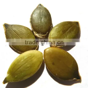 Organic Pumpkin Kernel thumbnail-1