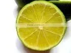 Vietnam's High Quality Lemon thumbnail-1