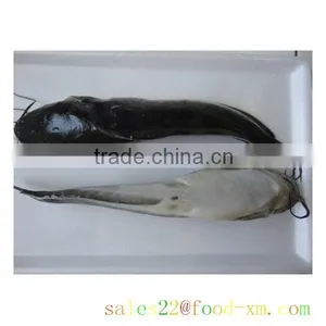 Frozen Fish Catfish thumbnail-1